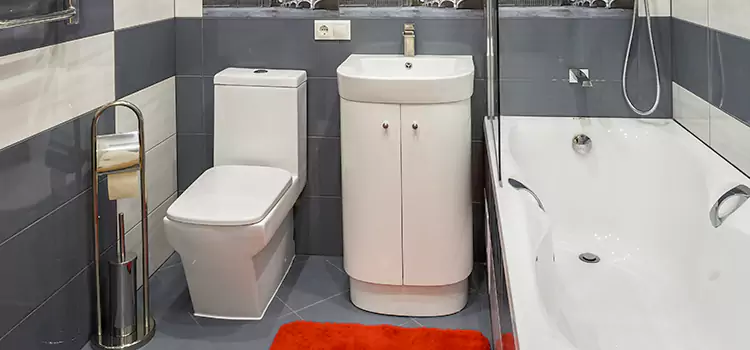 Hansgrohe Shaving Mirror Massapequa Park